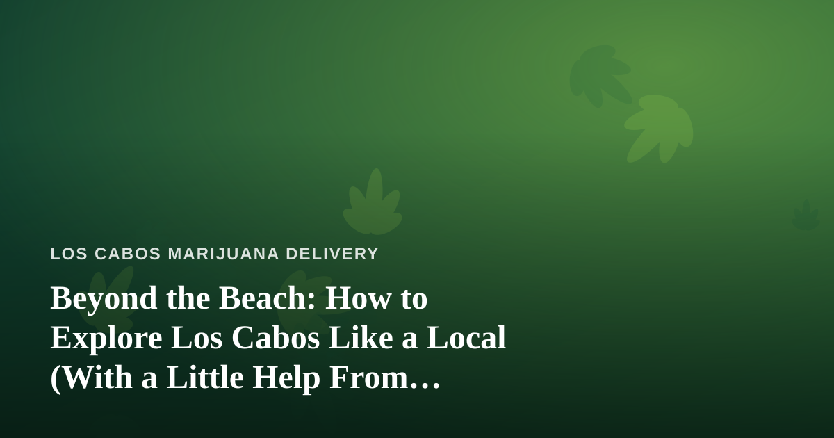 Beyond the Beach: How to Explore Los Cabos Like a Local (With a Little Help From Cannabis Delivery)