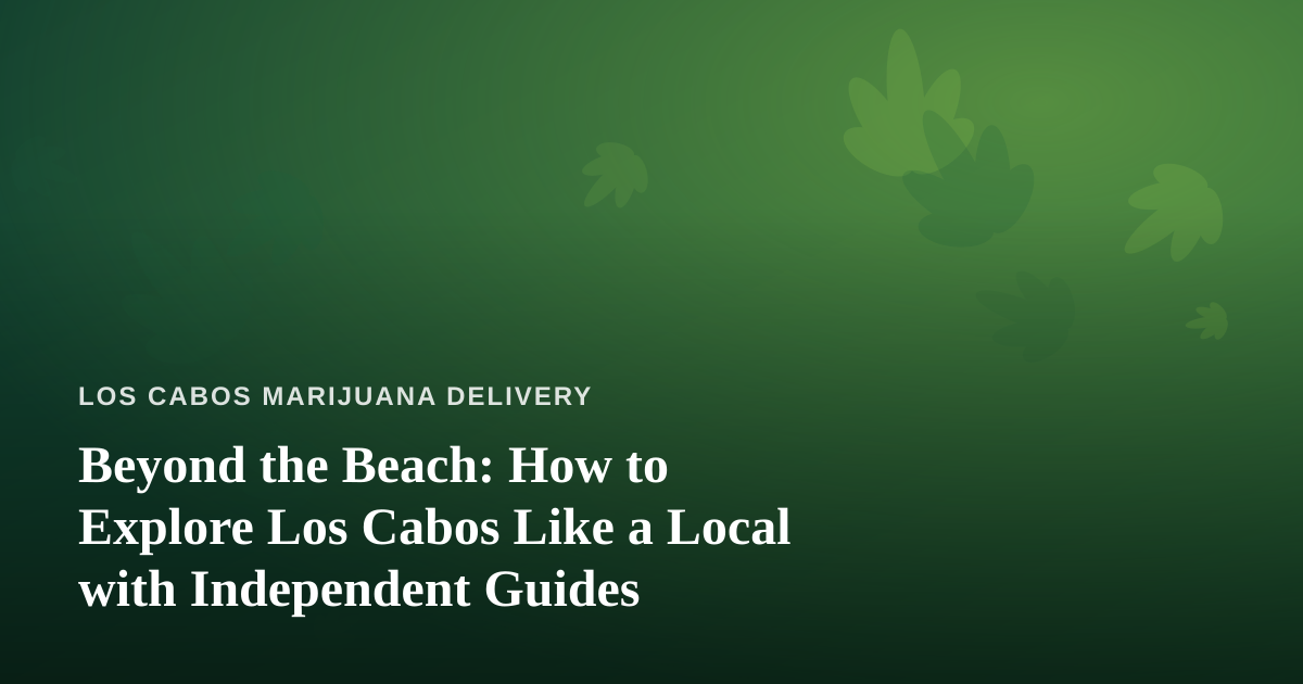 Beyond the Beach: How to Explore Los Cabos Like a Local with Independent Guides