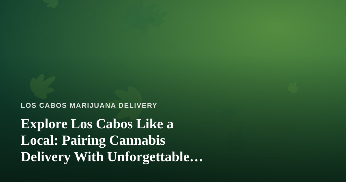 Explore Los Cabos Like a Local: Pairing Cannabis Delivery With Unforgettable Guided Adventures