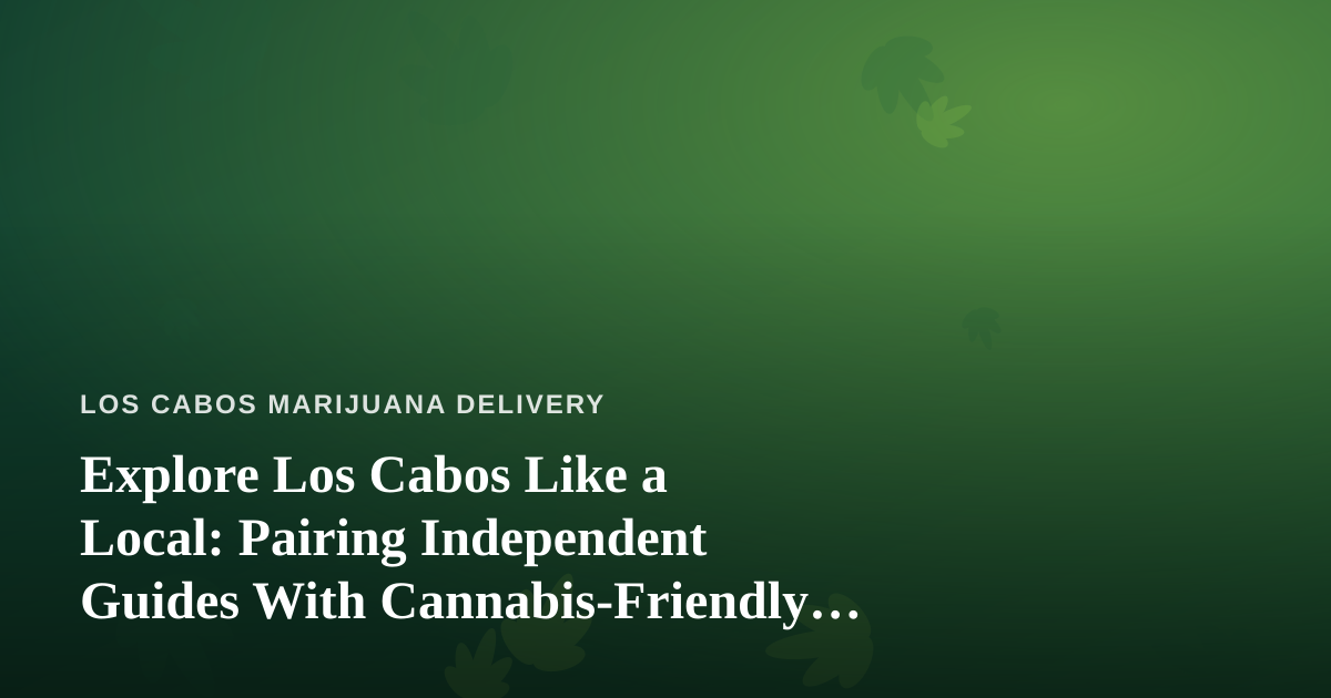 Explore Los Cabos Like a Local: Pairing Independent Guides With Cannabis-Friendly Adventures
