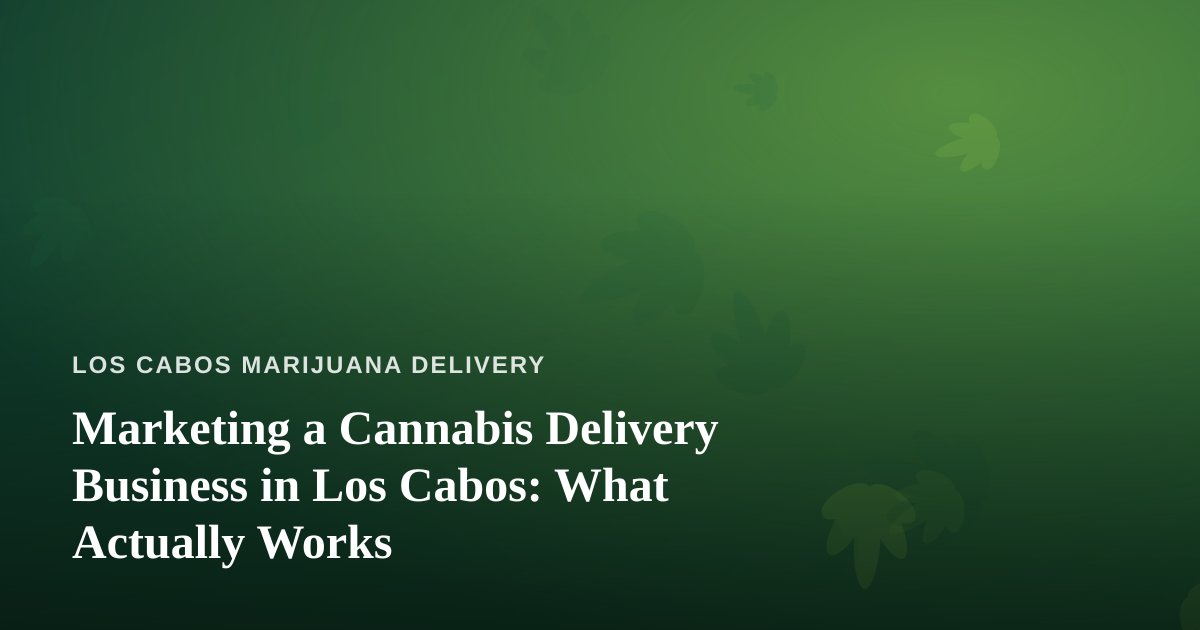 Marketing a Cannabis Delivery Business in Los Cabos: What Actually Works