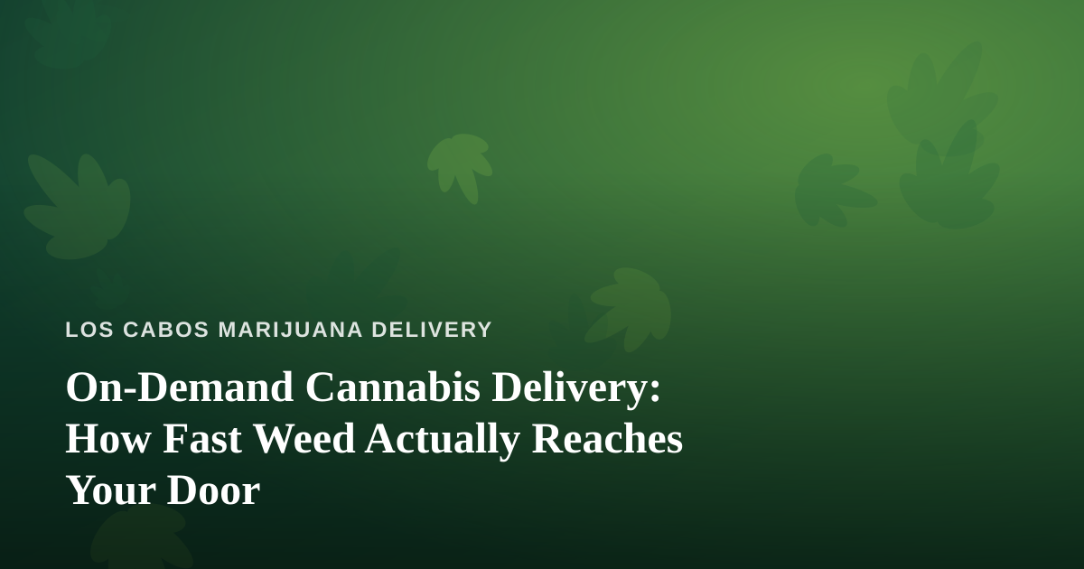 On-Demand Cannabis Delivery: How Fast Weed Actually Reaches Your Door