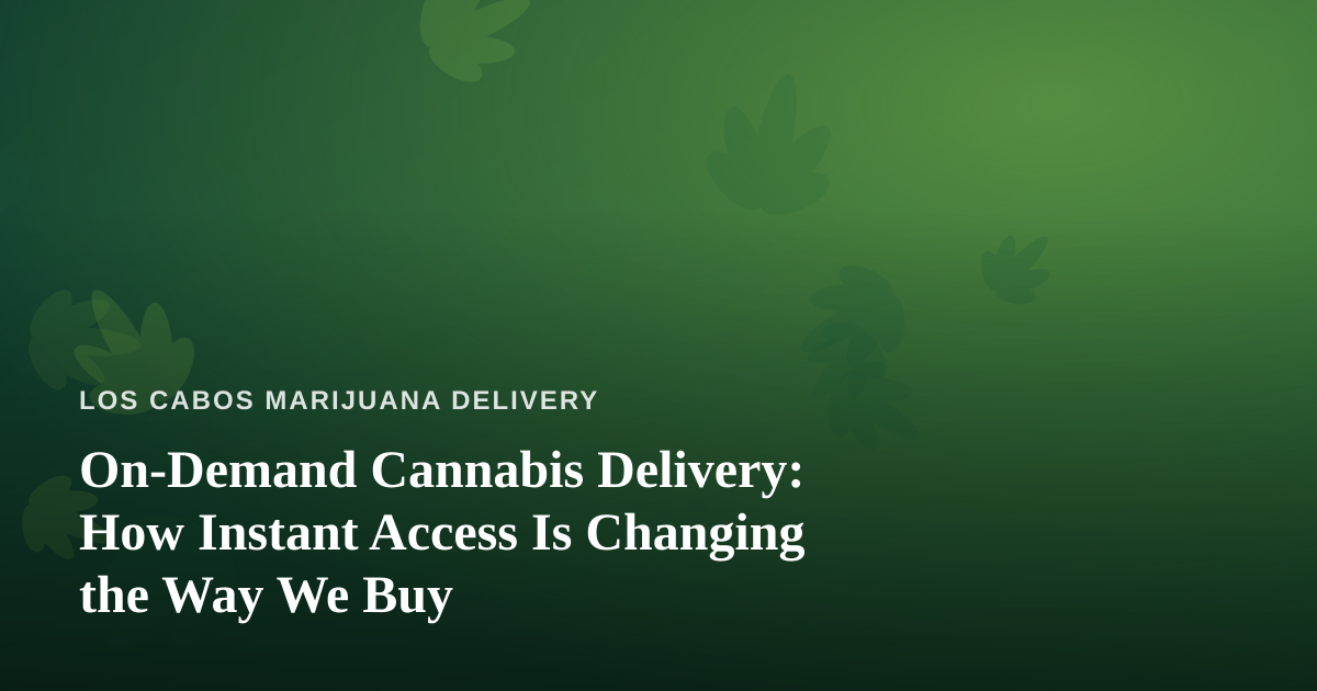 On-Demand Cannabis Delivery: How Instant Access Is Changing the Way We Buy