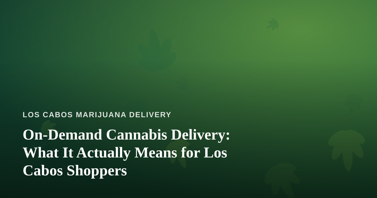 On-Demand Cannabis Delivery: What It Actually Means for Los Cabos Shoppers