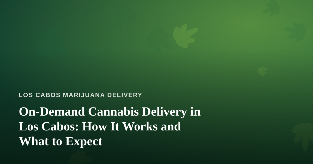 On-Demand Cannabis Delivery in Los Cabos: How It Works and What to Expect