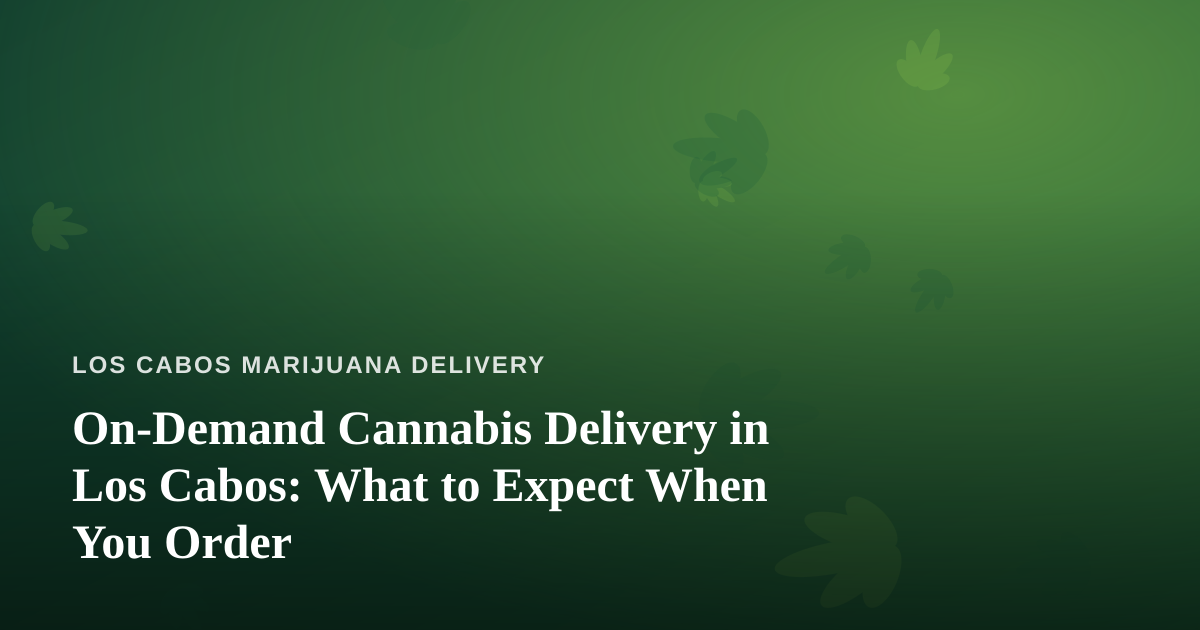 On-Demand Cannabis Delivery in Los Cabos: What to Expect When You Order