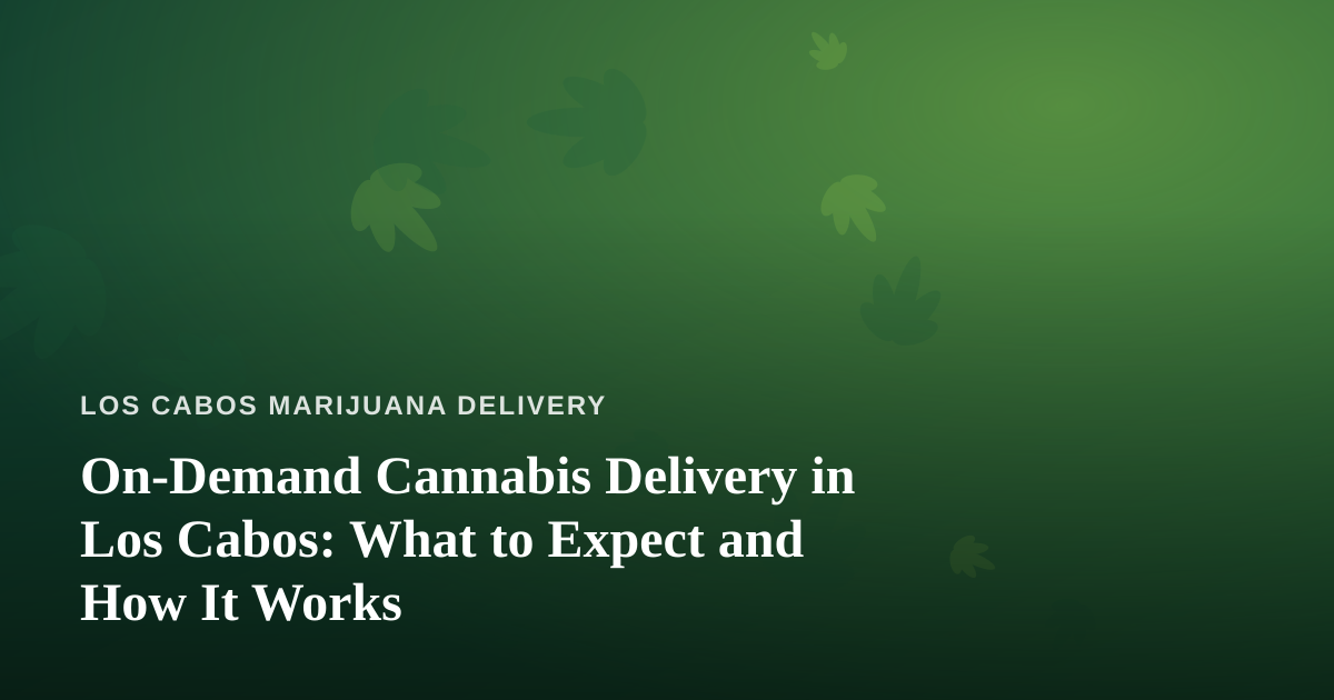 On-Demand Cannabis Delivery in Los Cabos: What to Expect and How It Works