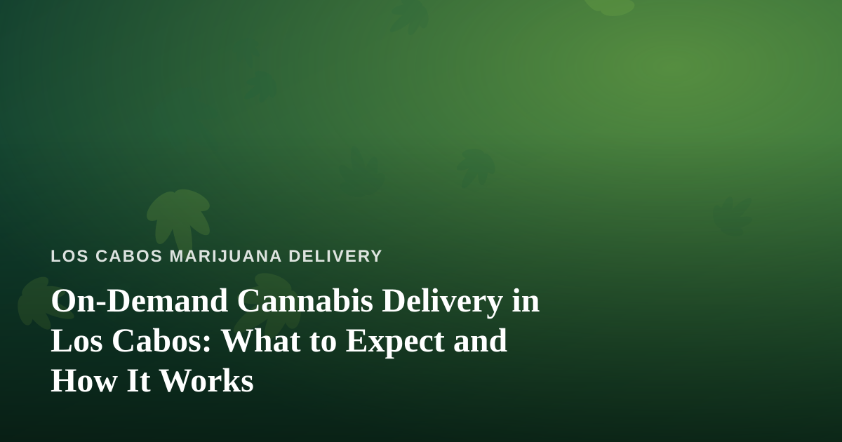 On-Demand Cannabis Delivery in Los Cabos: What to Expect and How It Works