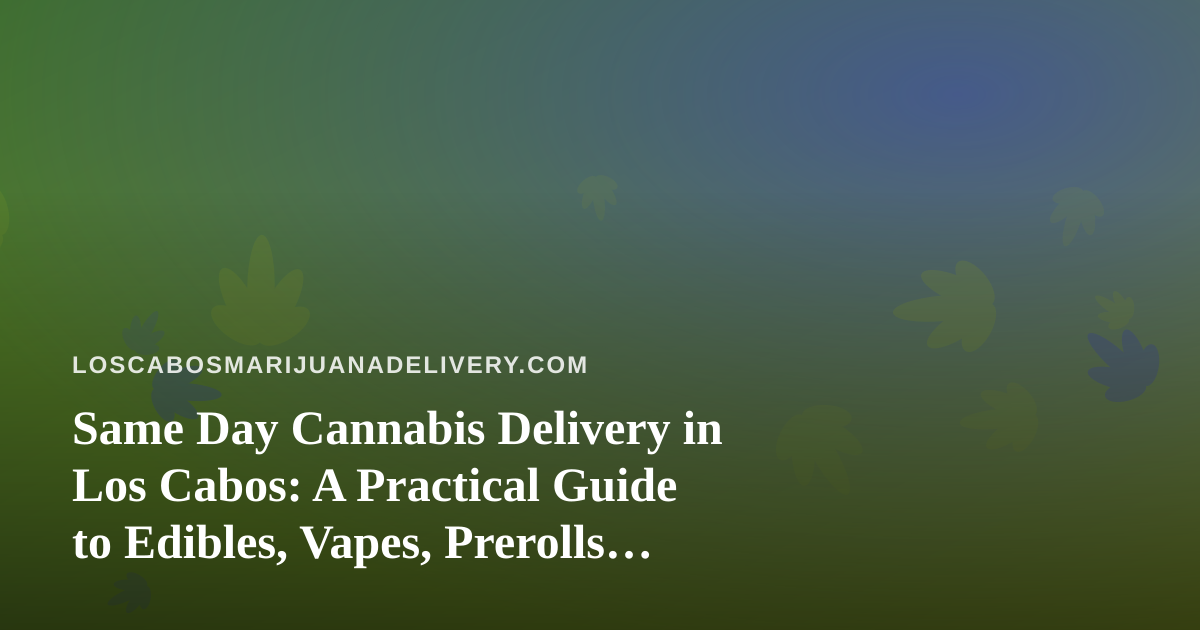 Same Day Cannabis Delivery in Los Cabos: A Practical Guide to Edibles, Vapes, Prerolls, Flower, and Concentrates