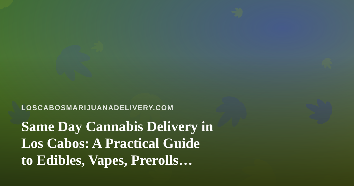 Same Day Cannabis Delivery in Los Cabos: A Practical Guide to Edibles, Vapes, Prerolls, Flower and Concentrates