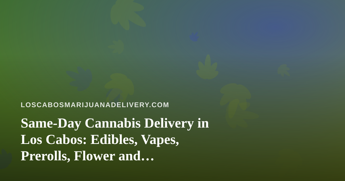 Same-Day Cannabis Delivery in Los Cabos: Edibles, Vapes, Prerolls, Flower and Concentrates Explained