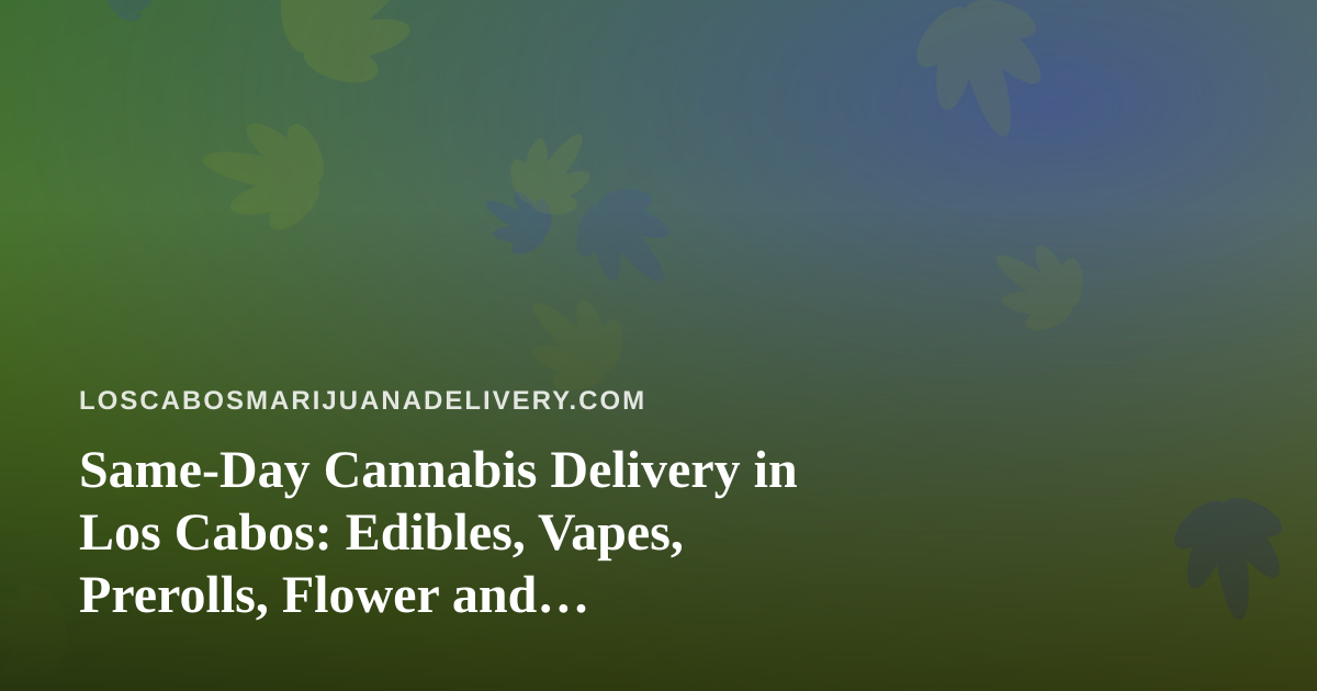 Same-Day Cannabis Delivery in Los Cabos: Edibles, Vapes, Prerolls, Flower and Concentrates Explained