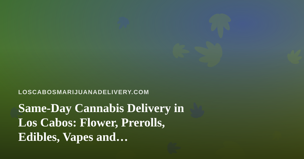 Same-Day Cannabis Delivery in Los Cabos: Flower, Prerolls, Edibles, Vapes and Concentrates Explained